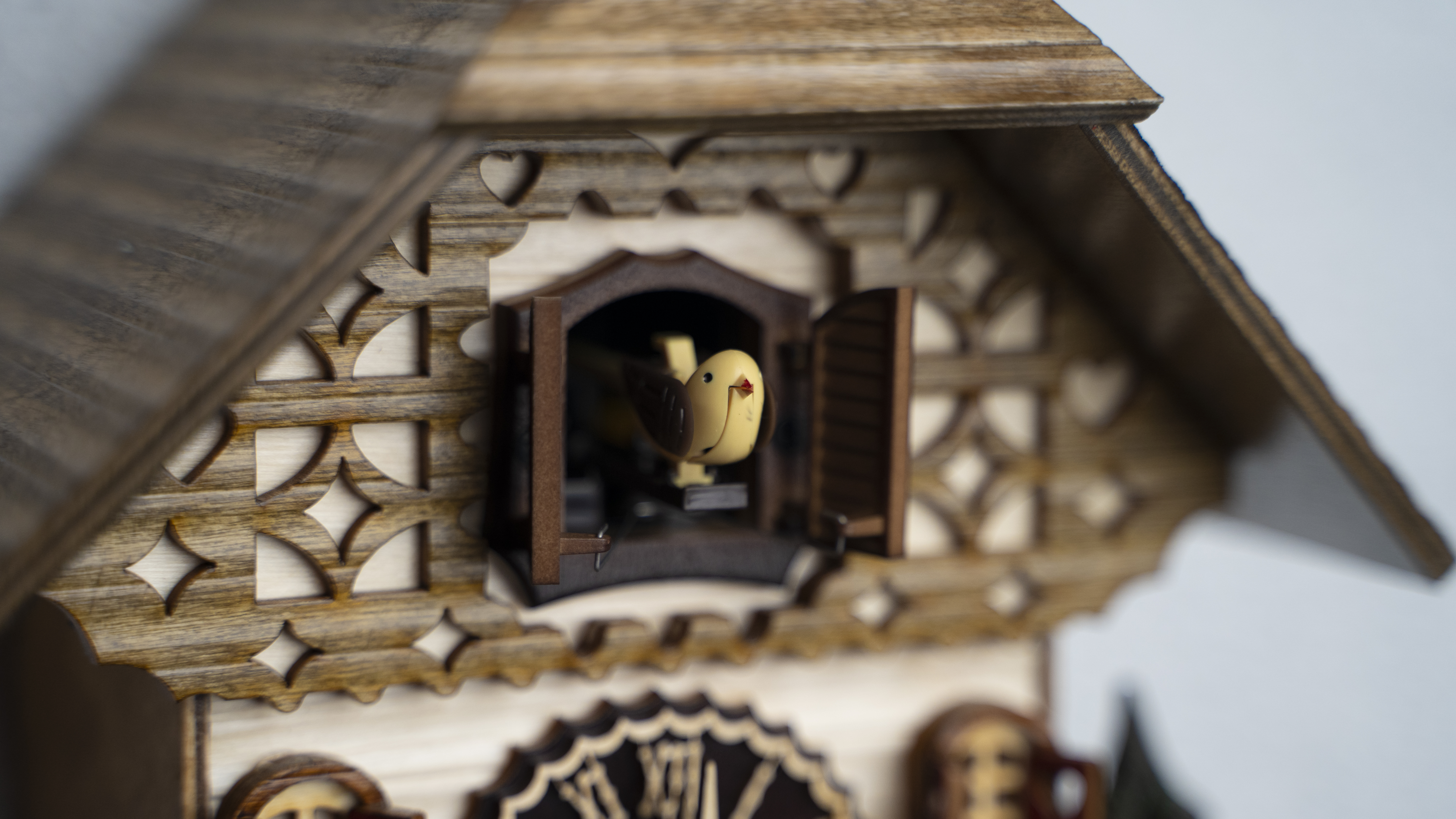 Cuckoo Clock Music Band